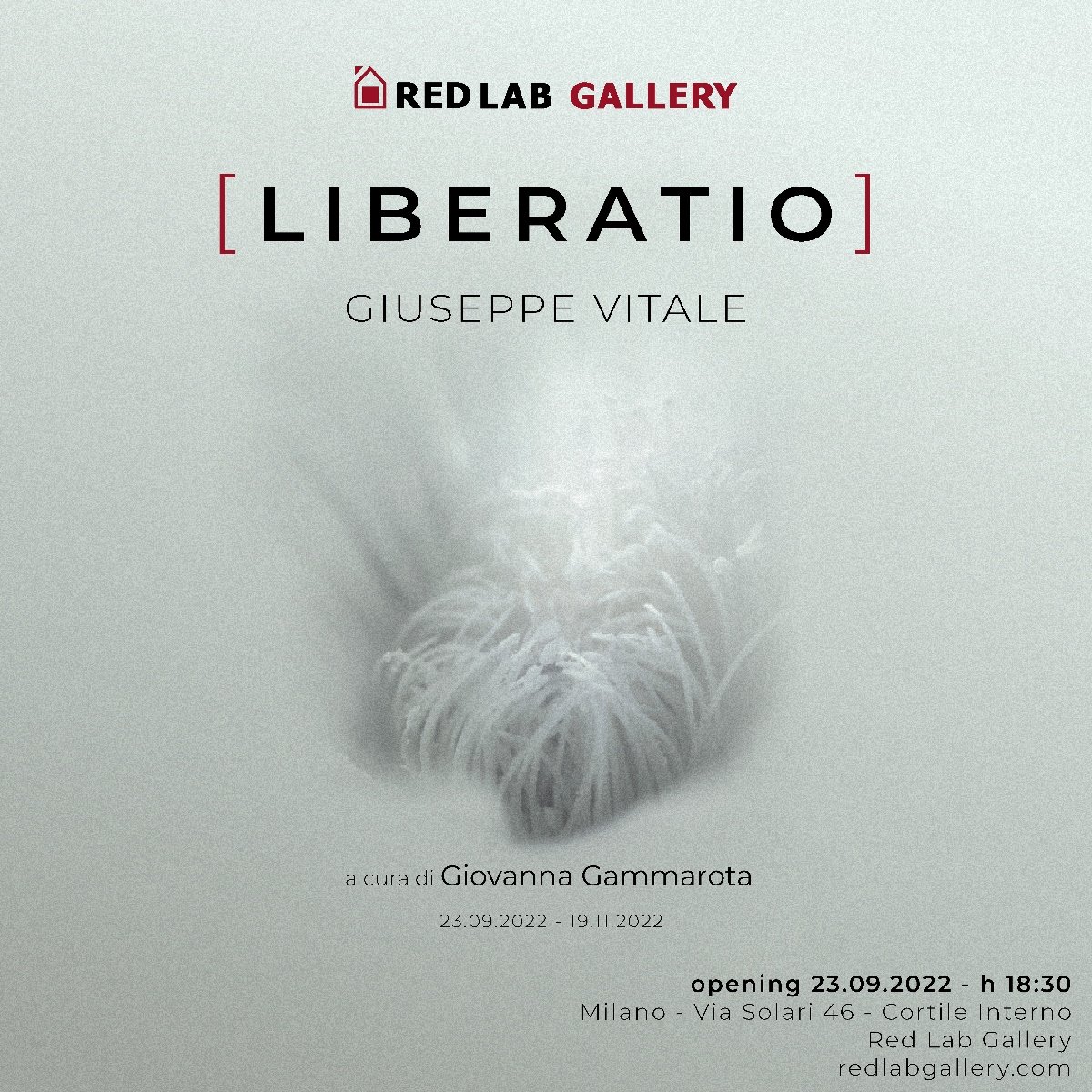 Giuseppe Vitale - Liberatio